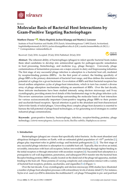 Molecular Basis of Bacterial Host Interactions by Gram-Positive Targeting Bacteriophages