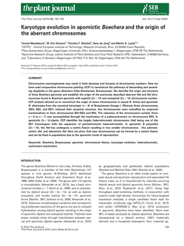 Karyotype Evolution in Apomictic Boechera and the Origin of the Aberrant Chromosomes