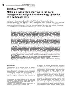 Metagenomic Insights Into the Energy Dynamics of a Carbonate Cave