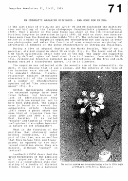 Deep-Sea Newsletter 21, 11-12, 1993 an ENIGMATIC ORGANISM DISCLOSED