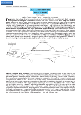 Sphyraena Barracuda Usually Found in Mangrove Swamps Or Estuaries of Rivers.They Frequently Occur in Small to Large Schools, but the Adult of S