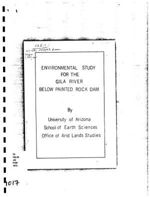 Environmental Study for the Gila River Below Painted Rock Dam