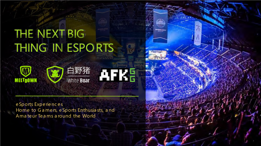 The Next Big Thing in Esports