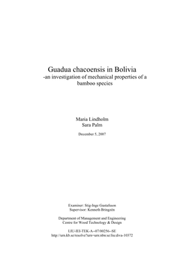 Guadua Chacoensis in Bolivia -An Investigation of Mechanical Properties of a Bamboo Species