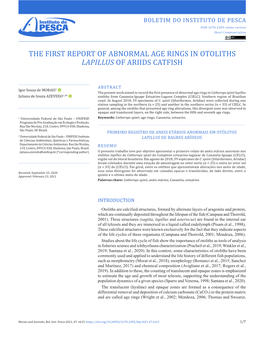 The First Report of Abnormal Age Rings in Otoliths Lapillus of Ariids Catfish