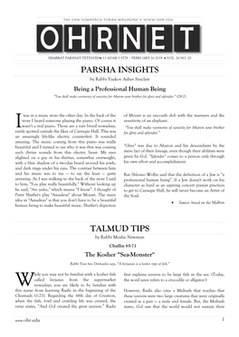 Parsha Insights Talmud Tips
