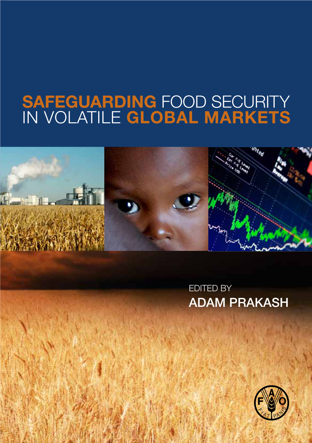 SAFEGUARDING Food SECURITY in VOLATILE GLOBAL MARKETS