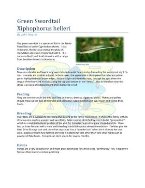 Green Swordtail Xiphophorus Helleri by John Moyles