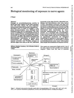 Biological Monitoring Ofexposure to Nerve Agents