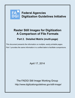 Raster Still Images for Digitization: a Comparison of File Formats