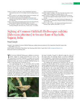Sighting of Common Chiffchaff Phylloscopus Collybita [Fulvescens/Abietinus] in Greater Rann of Kachchh, Gujarat, India Prasad Ganpule