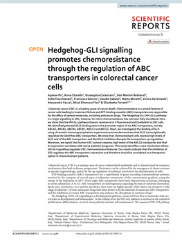 Hedgehog-GLI Signalling Promotes Chemoresistance Through The