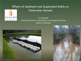 Effects of Sediment and Suspended Solids on Freshwater Mussels