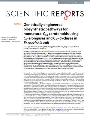 Genetically Engineered Biosynthetic Pathways for Nonnatural C60
