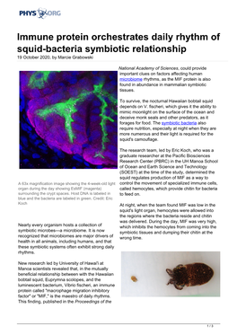Immune Protein Orchestrates Daily Rhythm of Squid-Bacteria Symbiotic Relationship 19 October 2020, by Marcie Grabowski