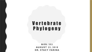 Vertebrate Phylogeny