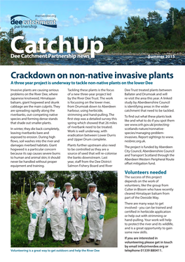 Crackdown on Non-Native Invasive Plants