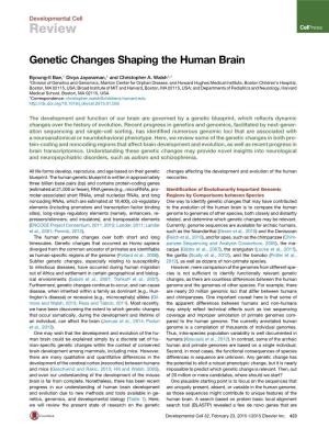 Genetic Changes Shaping the Human Brain.Pdf