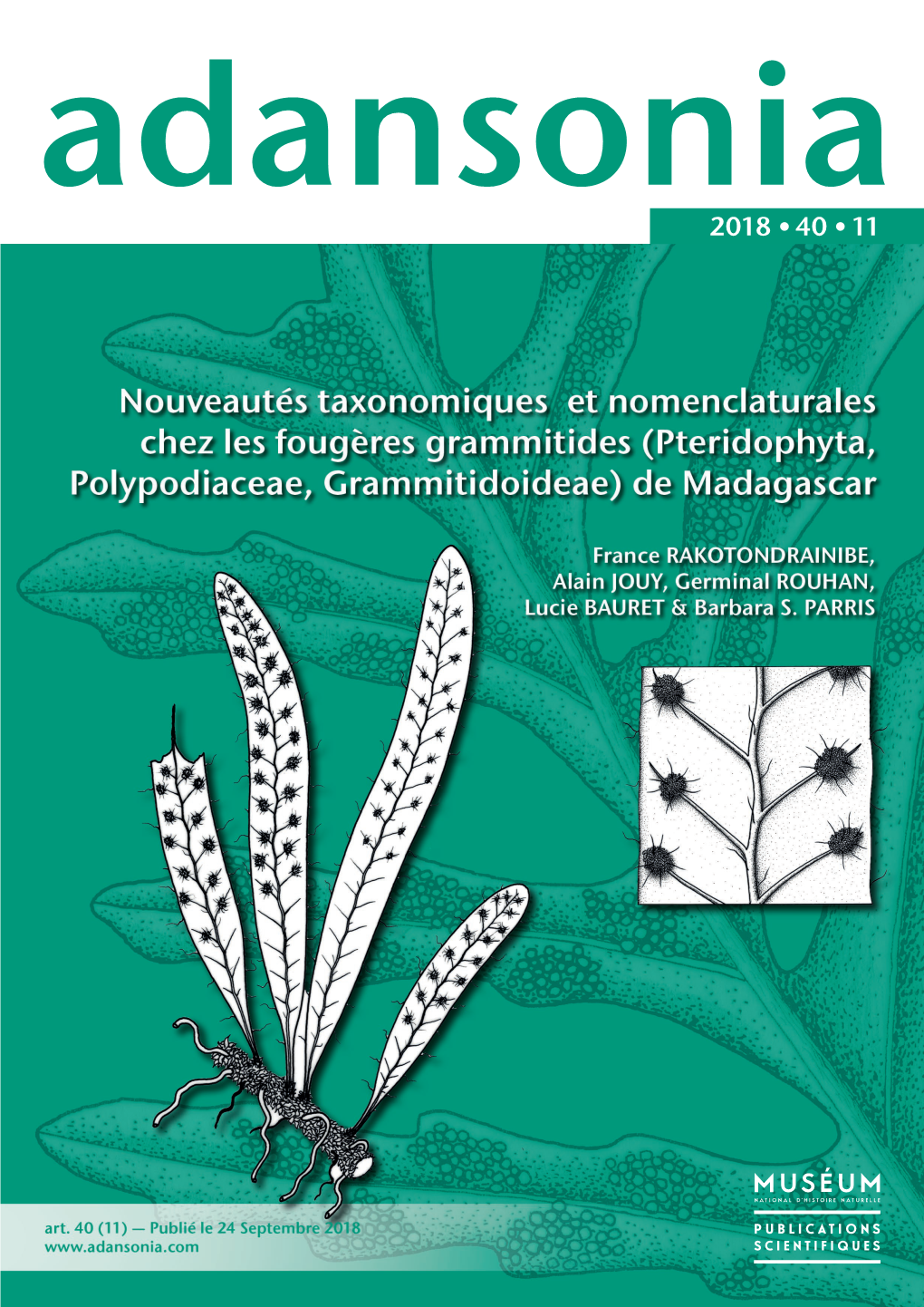 Nouveautés Taxonomiques Et Nomenclaturales Chez Les Fougères Grammitides (Pteridophyta, Polypodiaceae, Grammitidoideae) De Madagascar