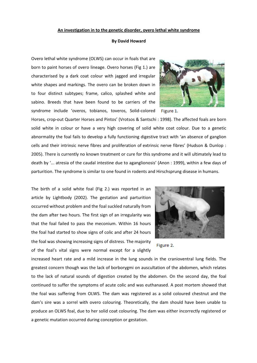 OLWS) Can Occur in Foals That Are Born to Paint Horses of Overo Lineage