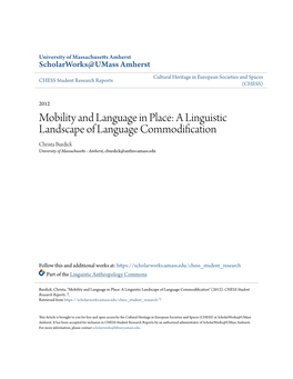 A Linguistic Landscape of Language Commodification Christa Burdick University of Massachusetts - Amherst, Cburdick@Anthro.Umass.Edu