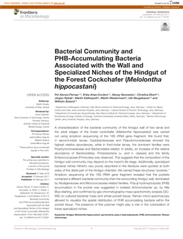 Bacterial Community and PHB-Accumulating Bacteria Associated with the Wall and Specialized Niches of the Hindgut of the Forest Cockchafer (Melolontha Hippocastani)
