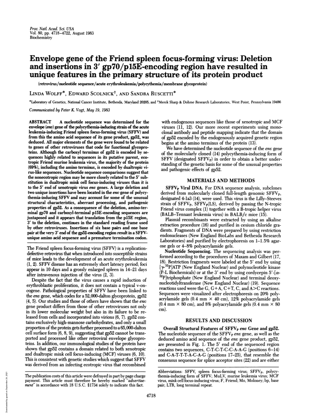 Envelope Gene of the Friend Spleen Focus-Forming Virus