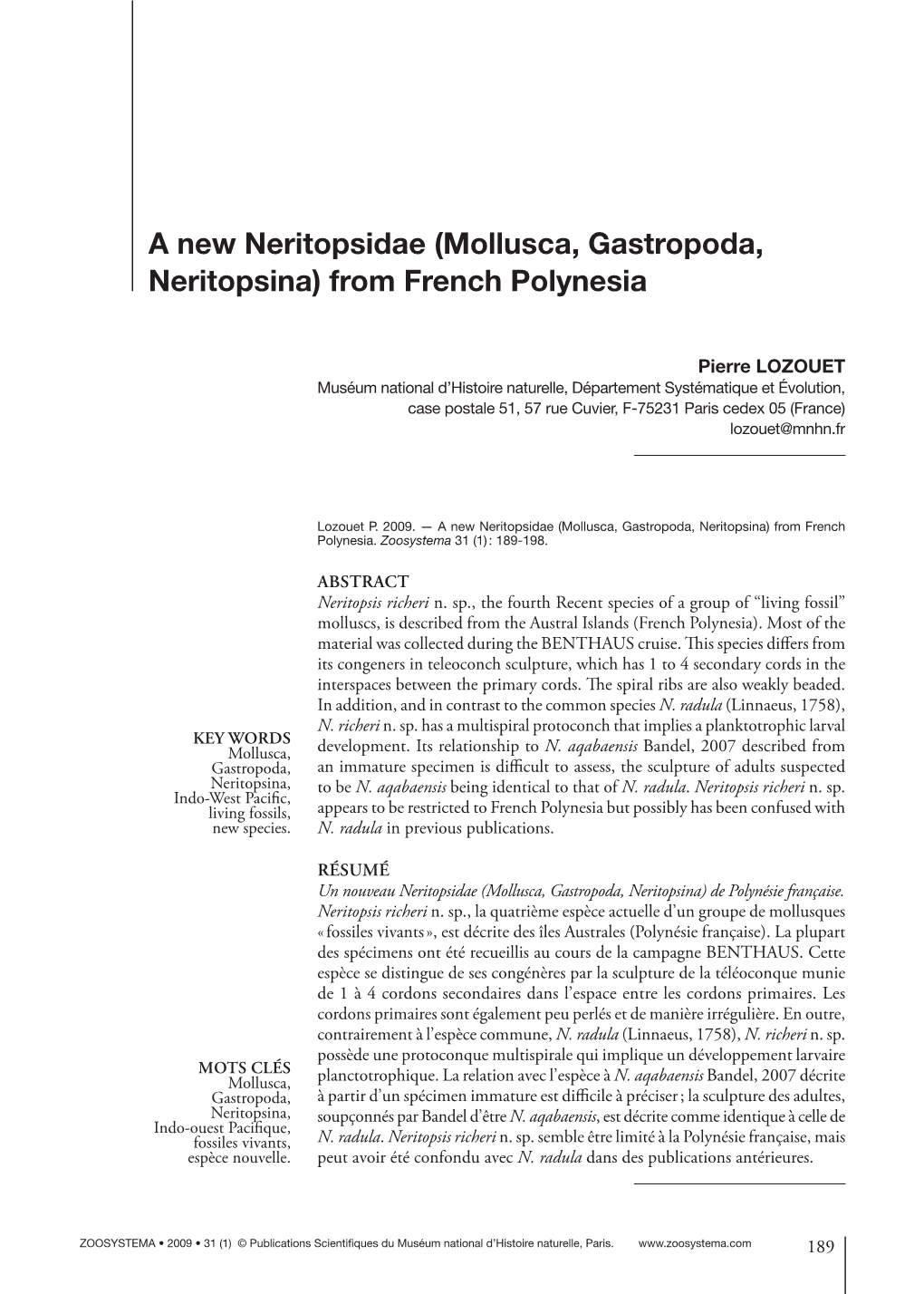 A New Neritopsidae (Mollusca, Gastropoda, Neritopsina) from French Polynesia