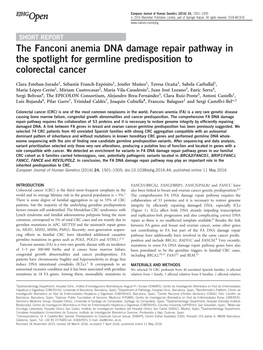 The Fanconi Anemia DNA Damage Repair Pathway in the Spotlight for Germline Predisposition to Colorectal Cancer