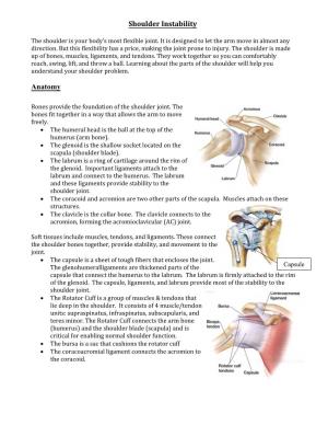 Shoulder Instability Anatomy