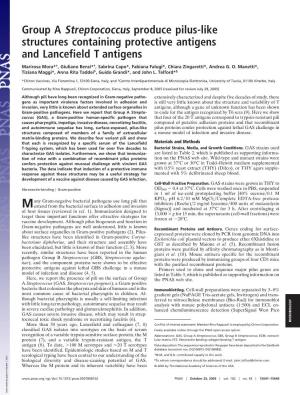 Group a Streptococcus Produce Pilus-Like Structures Containing Protective Antigens and Lancefield T Antigens