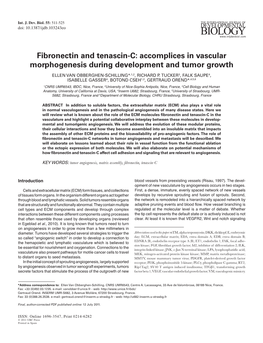Fibronectin and Tenascin-C: Accomplices in Vascular Morphogenesis During Development and Tumor Growth ELLEN VAN OBBERGHEN-SCHILLING*,1,2, RICHARD P