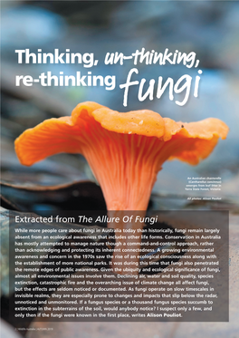 Thinking, Un-Thinking, Re-Thinking Fungi