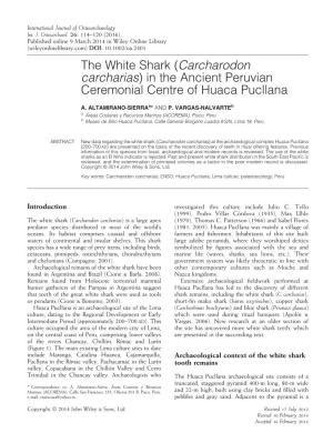 The White Shark (Carcharodon Carcharias) in the Ancient Peruvian Ceremonial Centre of Huaca Pucllana