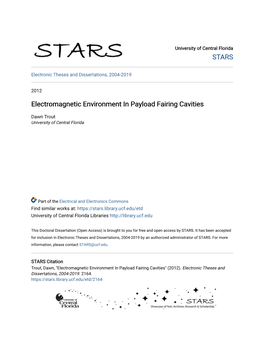 Electromagnetic Environment in Payload Fairing Cavities