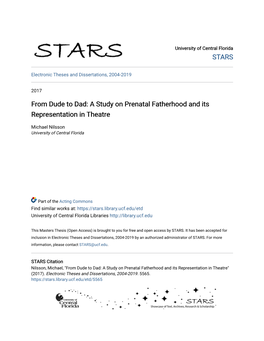 From Dude to Dad: a Study on Prenatal Fatherhood and Its Representation in Theatre