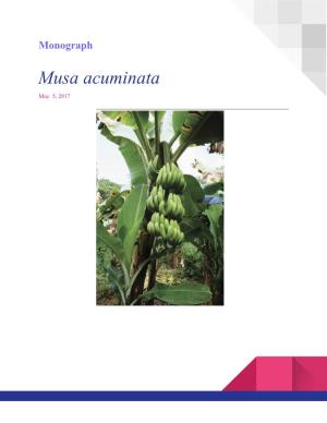 Musa Acuminata