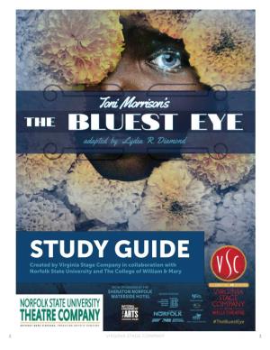 The Bluest Eye Study Guide