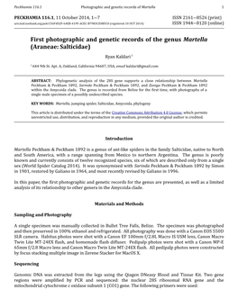 First Photographic and Genetic Records of the Genus Martella (Araneae: Salticidae) Ryan Kaldari 1