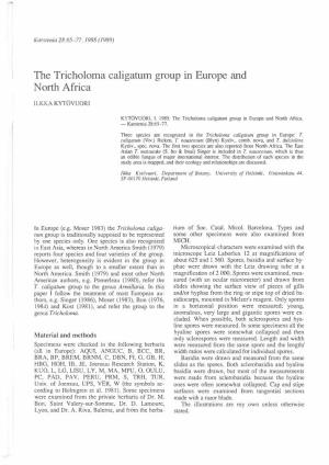 The Tricholoma Caligatum Group in Europe and North Africa