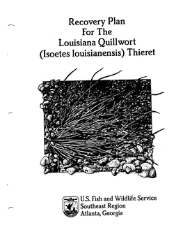 Recovery Plan for the Louisiana Quiliwort (Isoetes Louisianensis) Thieret