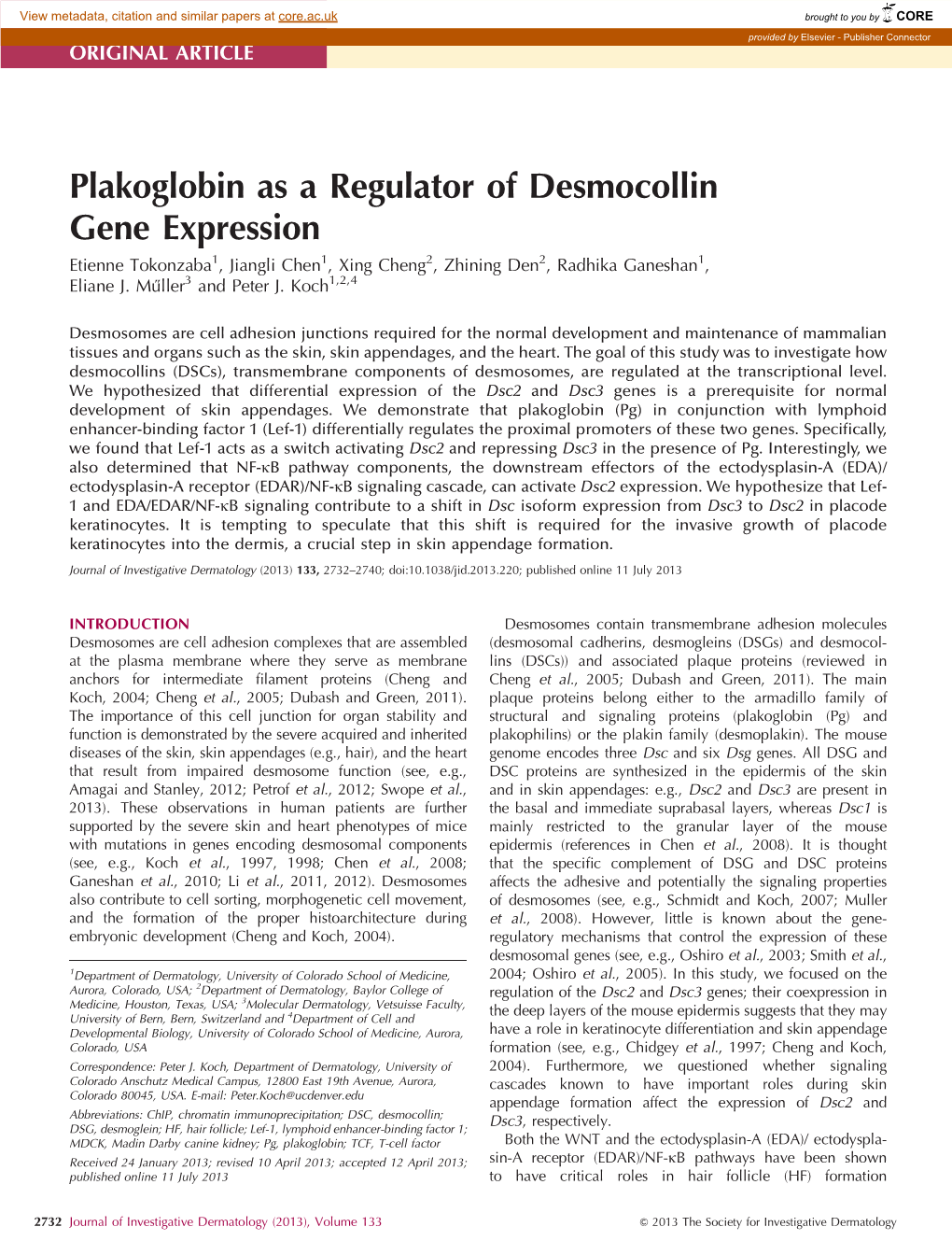 Plakoglobin As a Regulator of Desmocollin Gene Expression Etienne Tokonzaba1, Jiangli Chen1, Xing Cheng2, Zhining Den2, Radhika Ganeshan1, Eliane J