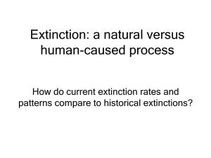 Natural Extinctions: Rates and Processes