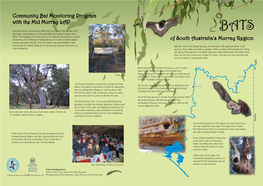 Bats of the SA Murray Region