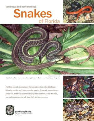 Venomous Nonvenomous Snakes of Florida