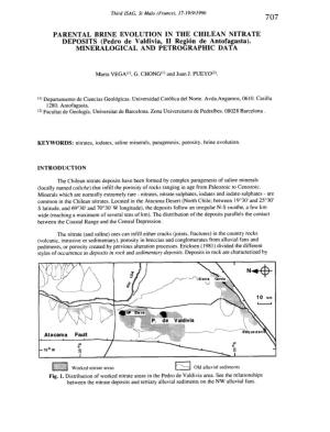 Parental Brine Evolution in the Chilean Nitrate Deposits (Pedro De Valdivia, II Region De Antofagasta) : Mineralogical and Petro