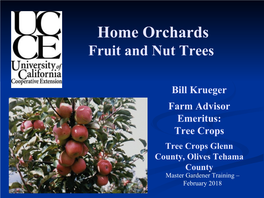 Home Orchards Fruit and Nut Trees
