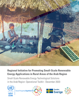 Small-Scale Renewable Energy Technological Solutions in the Arab