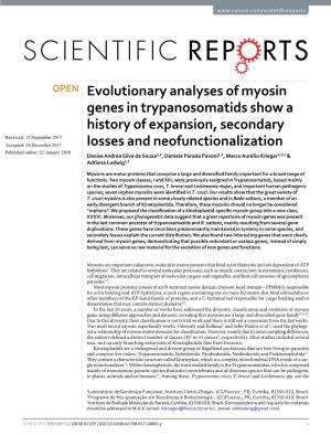 Evolutionary Analyses of Myosin Genes in Trypanosomatids Show A