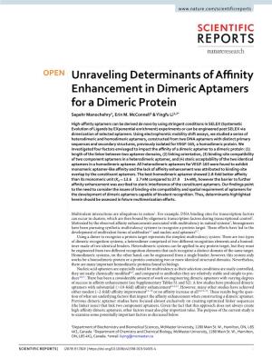 Unraveling Determinants of Affinity Enhancement in Dimeric Aptamers